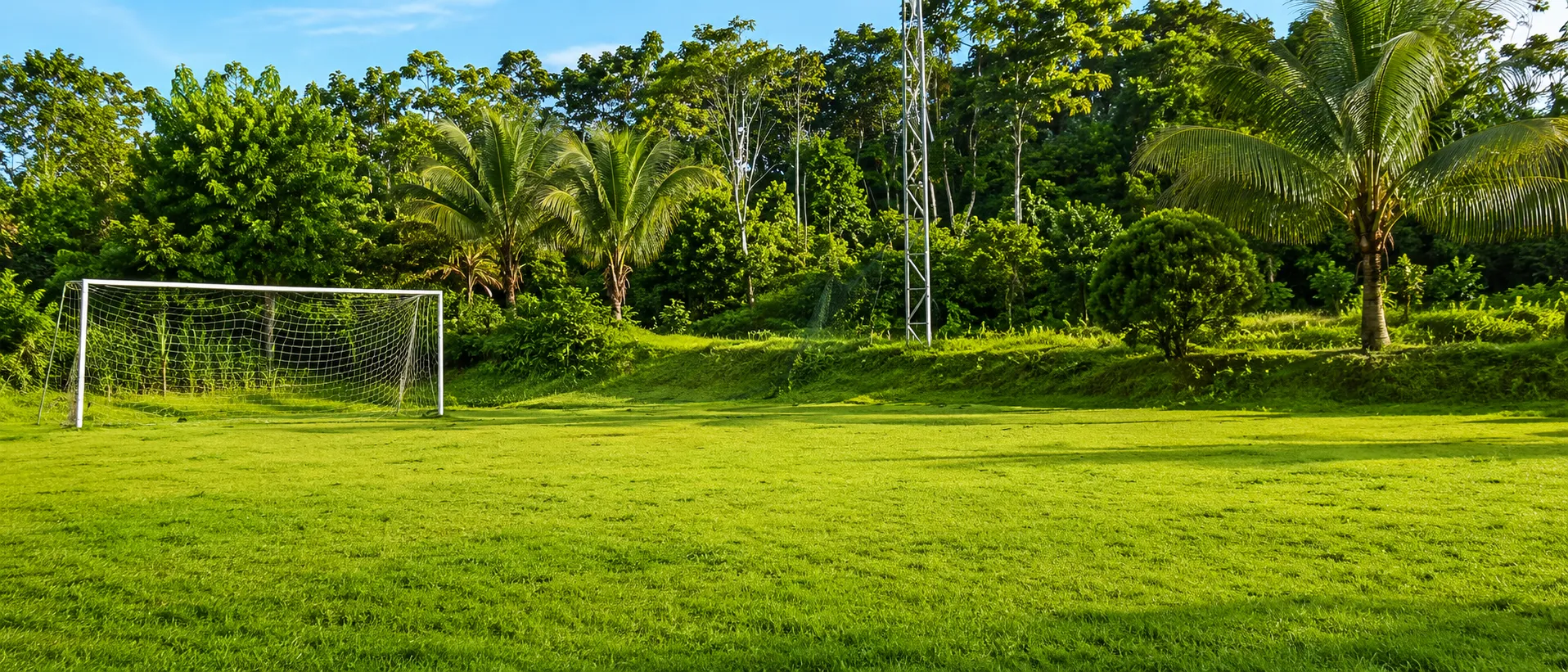 Cancha de fútbol entre palmeras
