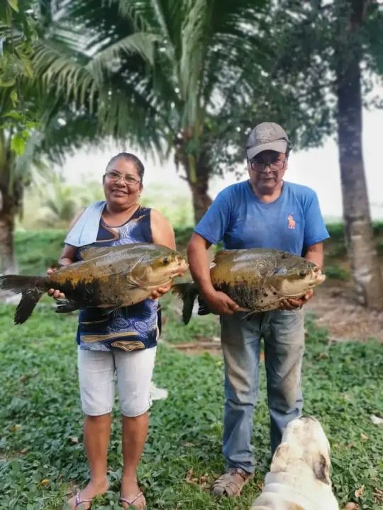 Nuestros fundadores