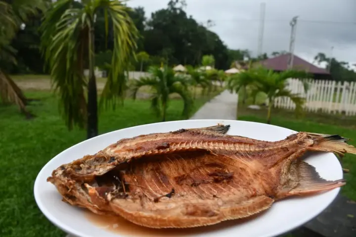 Tambaquí Frito