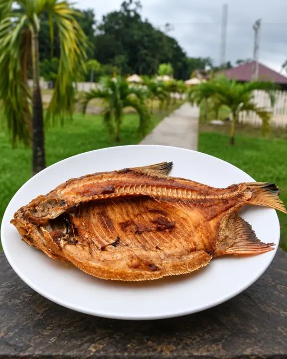 Tambaquí Frito